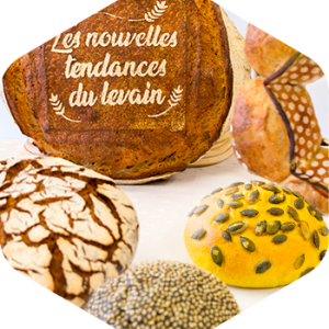 Les nouvelles tendances du levain | 2025