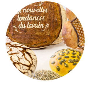 Les nouvelles tendances du levain I 2024